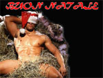 Cartoline di Natale